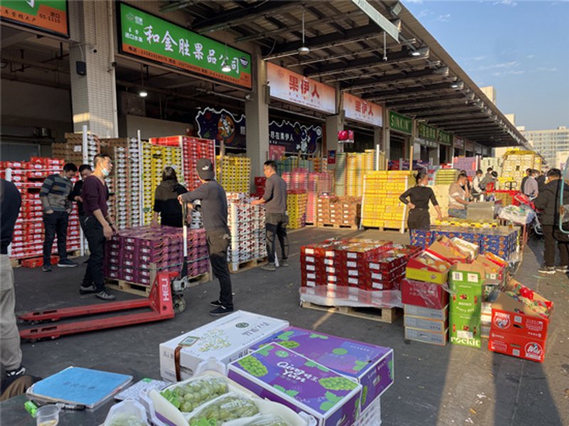 宁波生鲜配送：市场现状与未来趋势解析