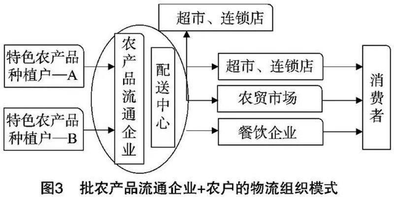 生鲜批发市场的数字化转型