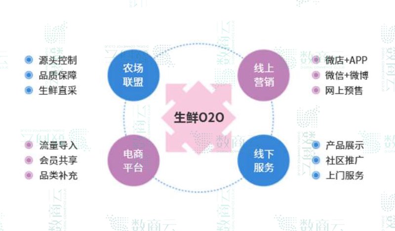 生鲜批发：商家如何选择最佳供应商