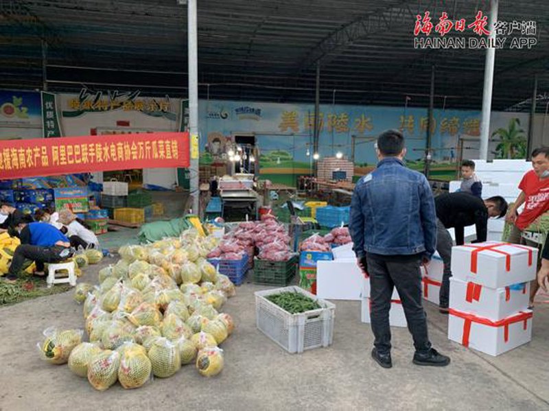 生鲜电商平台：如何选择靠谱的购物渠道？