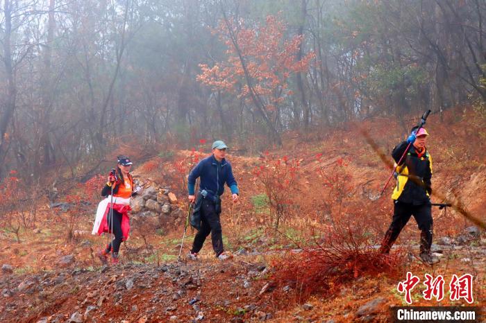 三峡夷陵：体旅融合发展让荒山变成“金山”的
